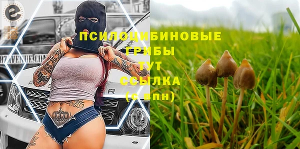 не бодяженный Абинск