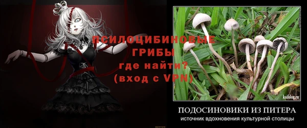 МДПВ Абаза